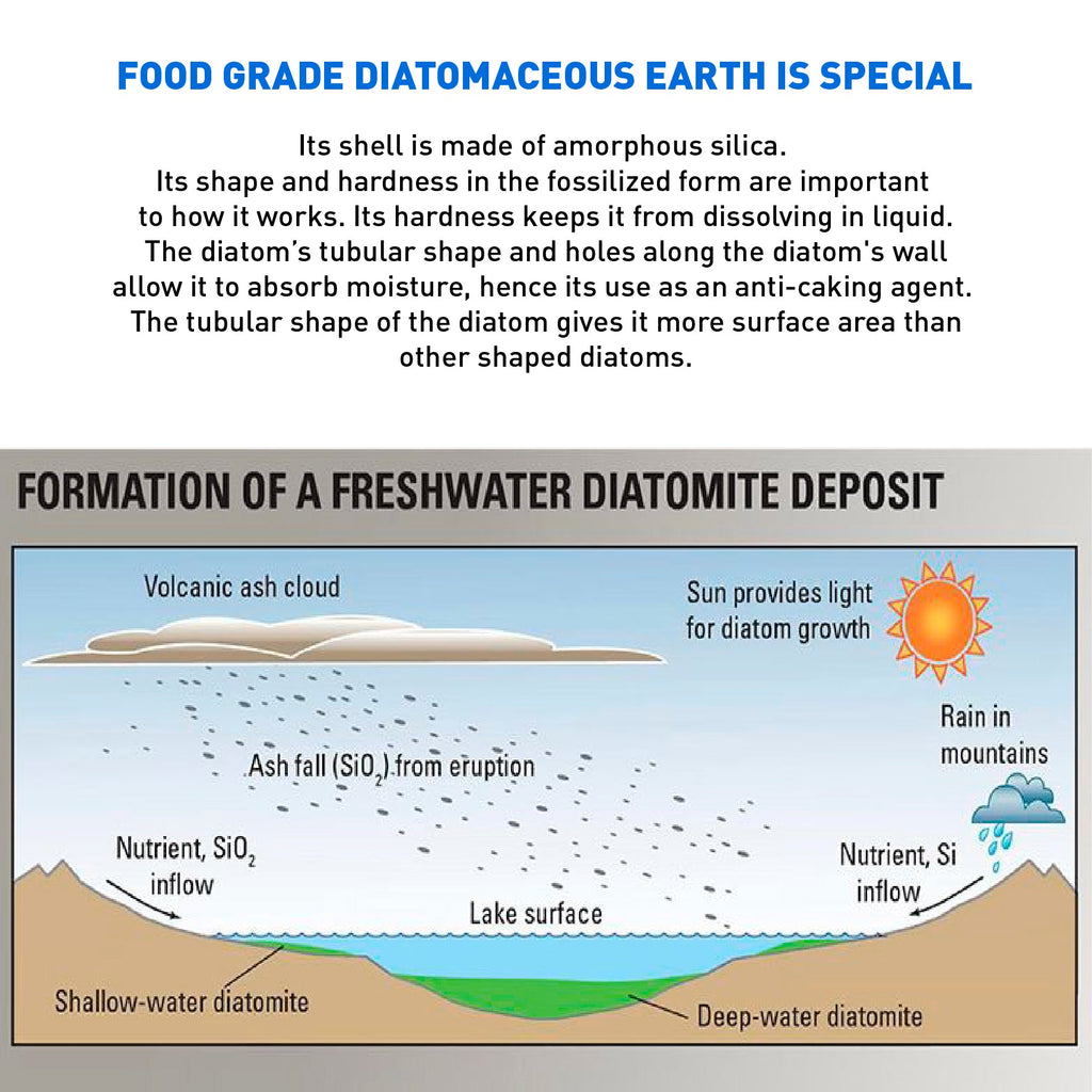 Diatomaceous Earth - DE Fresh Water - 5.5 Pounds